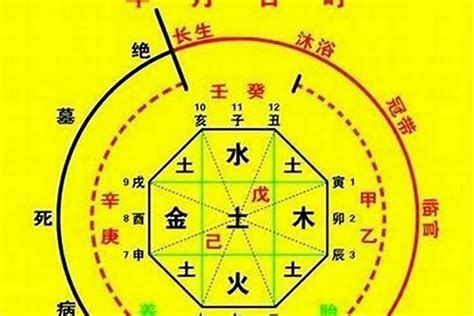 喜用神分析|八字喜用神在线查询器,在线查五行喜神忌神